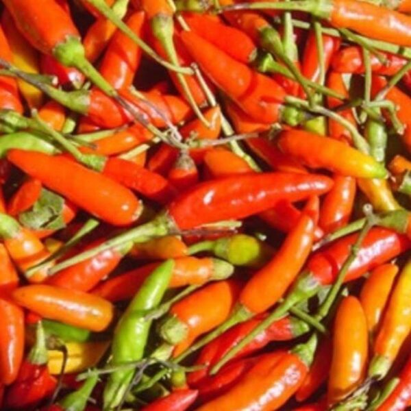 Cabai Rawit Merah 1kg - Super Pedas - Segar - Gambar 2
