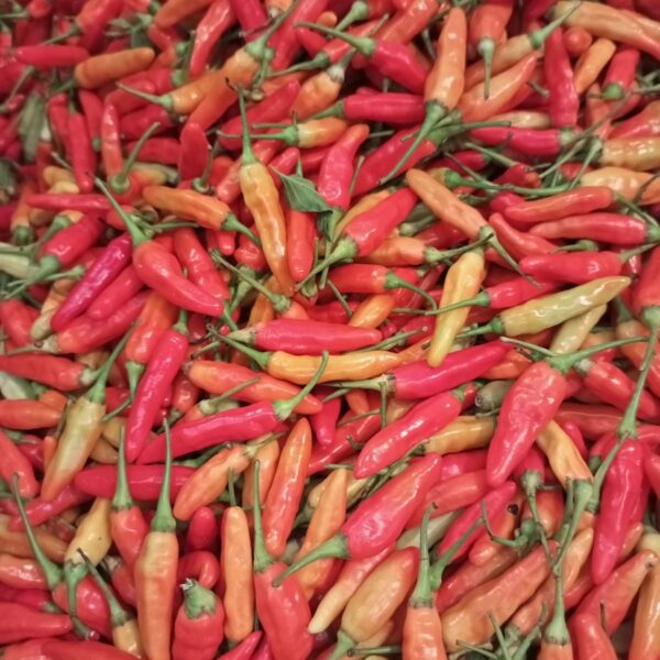 Cabai Rawit Merah 1kg - Super Pedas - Segar - Gambar 3